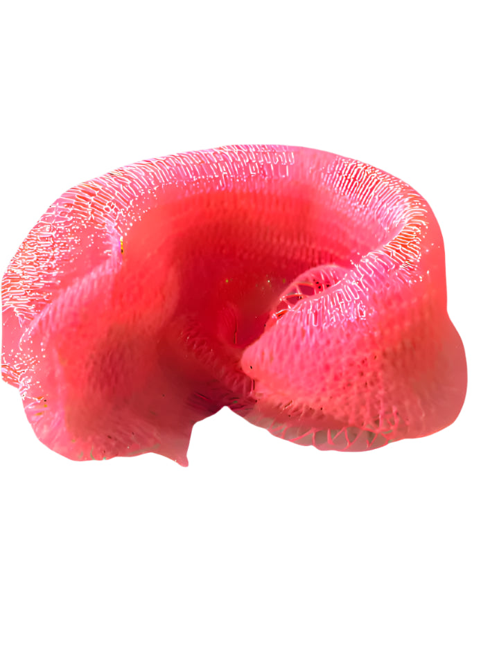 Pink mesh scrubber on a light green background